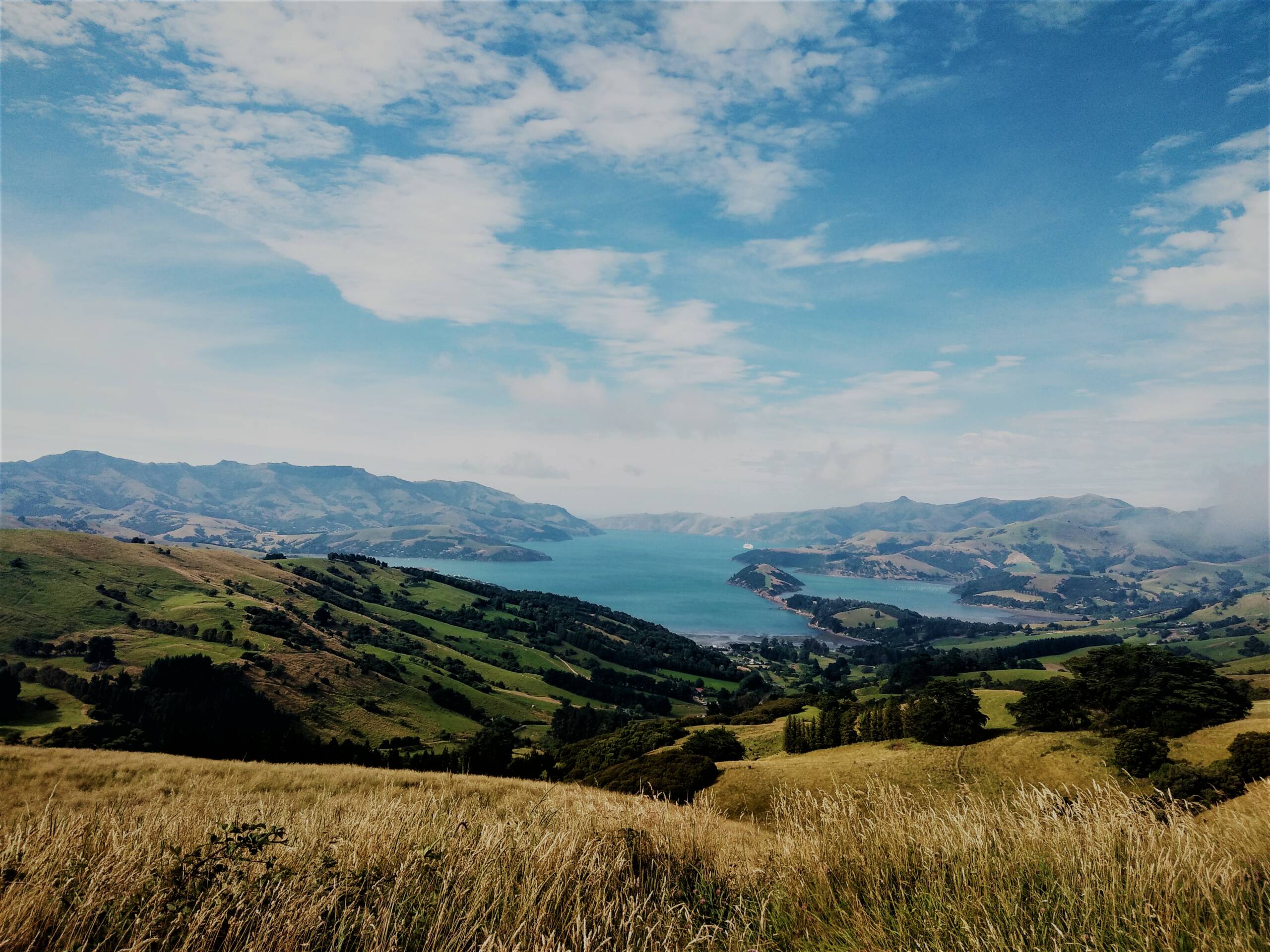 FAQs | Akaroa's Eastern Bays Scenic Mail Run